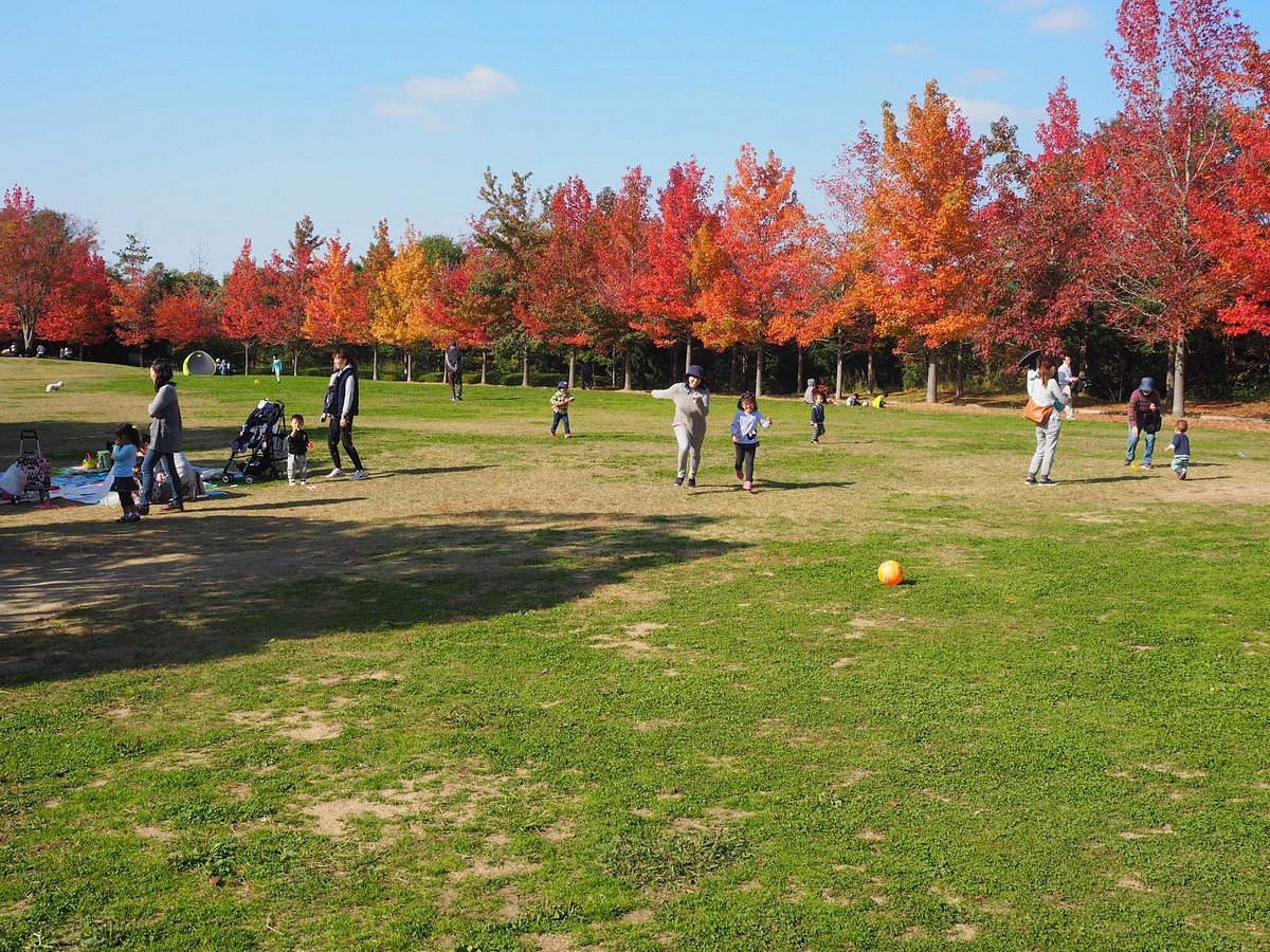 🌳 미키야마 삼림공원 (효고현립 미키야마신린코엔) 이미지 5